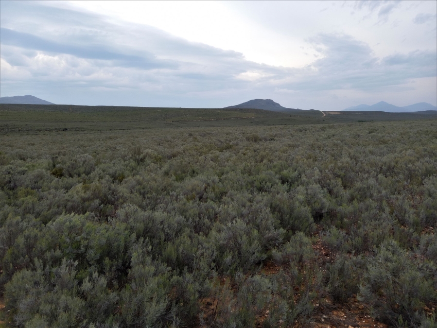 Commercial Property for Sale in George Rural Western Cape